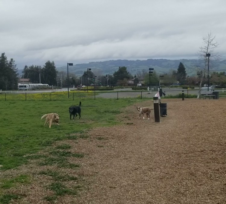 Deer Creek Village Dog Park (Petaluma,&nbspCA)